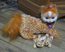 Kitty surprise sasha for sale  PORTLAND