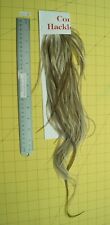 Whiting medium dun for sale  Minden