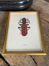 Antique gold framed for sale  LETCHWORTH GARDEN CITY