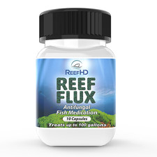 Reefhd reef flux for sale  Edinburgh