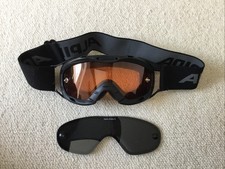 Skibrille kinder alpina gebraucht kaufen  Pullach i.Isartal