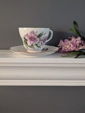 Beautiful wood anemone for sale  Reinholds