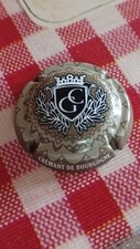 Capsule cremant bourgogne d'occasion  Saint-Michel-sur-Meurthe