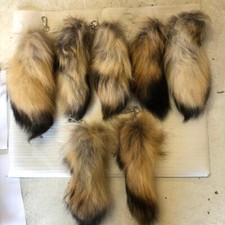 Scooter mod racoon for sale Scooter mod racoon for sale  HALIFAX