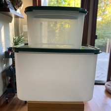 Usado, Dois recipientes Tupperware com tampas verdes, usados em bom estado comprar usado Usado, Dois recipientes Tupperware com tampas verdes, usados em bom estado comprar usado  Enviando para Brazil