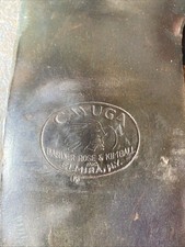 Nice cayuga indian for sale  Naples