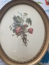 Provost framed picture for sale  Salem