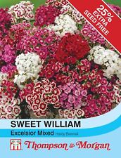 Thompson morgan flowers for sale  WREXHAM