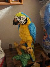 Squawkers mccaw parrot for sale  Olyphant