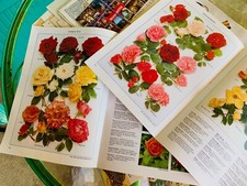 Junk Journal Vintage Paper Super Pack #2, Scrapbooking, Ephemera comprar usado  Enviando para Brazil