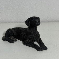 Vintage castagna black for sale  Lakeland