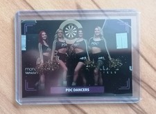 Panini pdc 2025 gebraucht kaufen  Reilingen
