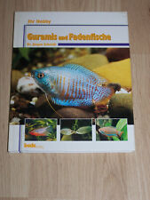 Guramis fadenfische aquaristik gebraucht kaufen  Niederkrüchten