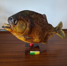 Fab vintage taxidermy for sale  TROWBRIDGE