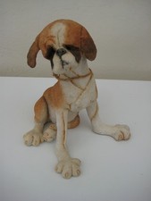 Breed apart boxer for sale  PORTLAND