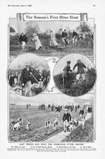 Culmstock otter hounds for sale  GLASGOW
