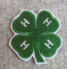 Club patch iron for sale  Indianapolis