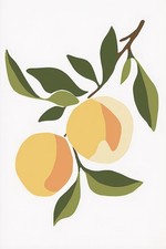 Plakat 20x30cm  Pomarańcz Minimalistyczny , Wnętrza Styl Skandynawski, Boho na sprzedaż  PL