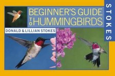 Stokes beginner guide for sale  Montgomery