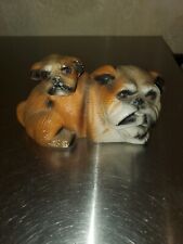 Adorable mommy puppy for sale  Hico