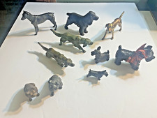 pointer dog for sale pointer dog for sale USA