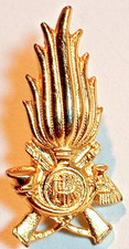 Fregio militare dorato usato  Santena
