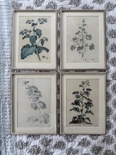 botanical plates for sale botanical plates for sale MELKSHAM