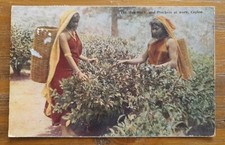 Ceylon tea workers for sale  LICHFIELD