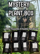 plant boxes for sale plant boxes for sale Richmond