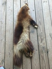 Vintage tanned wolverine for sale  New Holland
