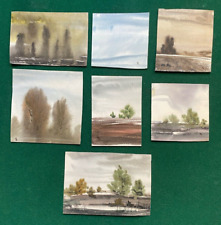 Antique collection watercolour usato  Spedire a Italy