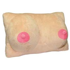 Brüste kissen plüsch gebraucht kaufen  Harrislee
