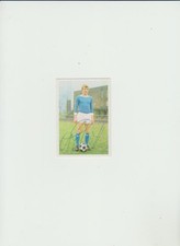 Bergmann sammelbild hermann gebraucht kaufen  Frankfurt am Main
