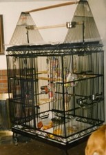 Giant metal bird for sale  Wilmington