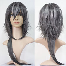Novo Horizonte Theed Som 7th Longo Liso Cinza Anime Cosplay Festa Peruca Completa comprar usado  Enviando para Brazil