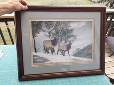 elk painting for sale elk painting for sale Helena