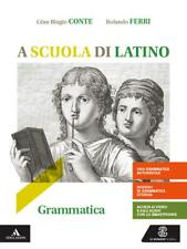 Scuola latino. grammatica usato  Italia