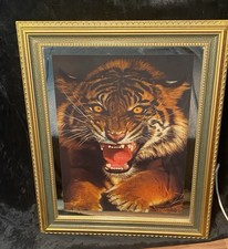 Light painting moving for sale  Asheville