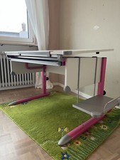 Höhenverstellbarer kinder sch gebraucht kaufen  Bad Dürkheim