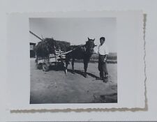 09664 epoca 219 usato  Palermo