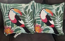 home boy parrot for sale home boy parrot for sale Frankfort