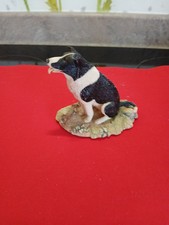 Glenart collie dog for sale  ELGIN