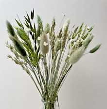 Dried flowers spring for sale  WREXHAM
