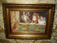 Kittens watch bird for sale  Fresno
