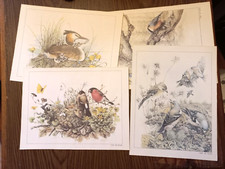 Gravures oiseaux anciennes d'occasion  Veneux-les-Sablons
