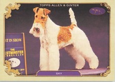 2024 topps allen for sale  Cheyenne