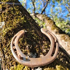 Authentic texas rusty for sale  Mocksville