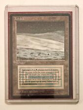 Mtg magic tundra usato  Trieste