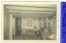 Instantâneo vernacular vintage 1965 decoração trailer casa móvel dona de casa cachorro comprar usado  Enviando para Brazil