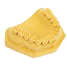 House brand dentistry for sale  USA